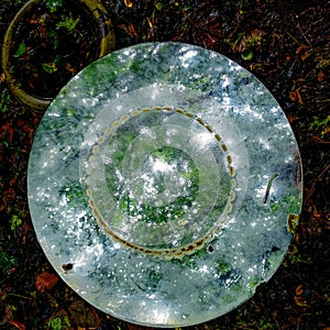 Abstract Wet Glass Table with Trees Reflected