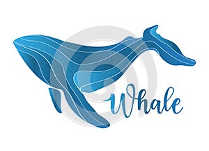 Abstract whale logo deign