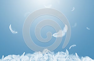 Abstract White Bird Feathers Falling on Floor. Softness of Floating Feathers in Blue Sky