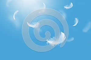 Abstract White Bird Feathers Floating in A Blue Sky. Softness of Feathers Falling in Heavenly.