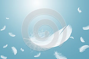 Abstract White Bird Feathers Floating in A Blue Sky. Softness of Feathers falling in Heavenly Concept.