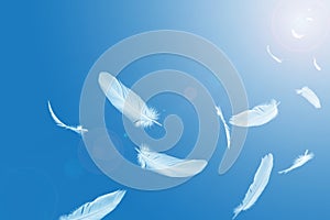 Abstract White Bird Feathers Floating in A Blue Sky. Softness of Feathers falling in Heavenly Concept