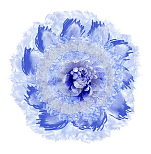 Abstract white-blue flower in watercolor style. Flower isolated on white background with clipping path. Close-up.For design, textu