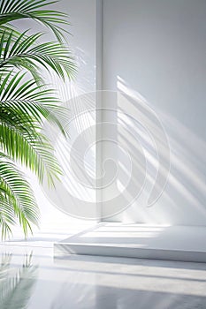 Abstract white color studio background photo