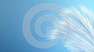 Abstract white feather against gradient blue background representing lightness