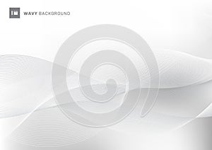 Abstract white and gray color wavy wave lines pattern background with space for your text