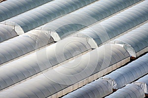 Abstract White Greenhouses photo