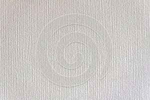 Abstract White Paint Texture. Background for wallpapers and cards