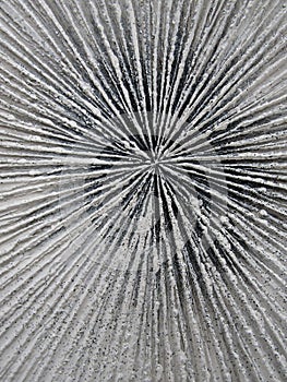 Abstract white painted centered background