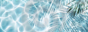 abstract white palm tree leaf shadow on light blue water background