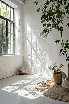 Abstract white room studio background with sunlight