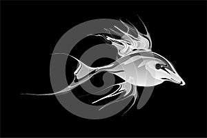 Abstract white shaded fish with black Background. Vector Illustration photo