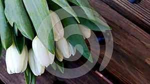 Abstract with white tukips