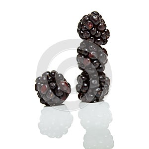 Abstract Wild blackberry