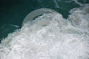 Abstract wild coast line with waves, sea foam and bird shot from above.