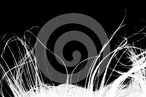 Abstract windy hair texture. Inverse silhouette photo