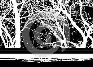 Abstract winter background