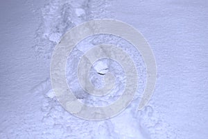 Abstract winter background.Man tracks in the snow.