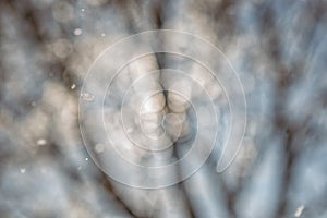 Abstract winter background, snowflakes and snowing time