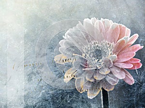 Abstract winter flower digital painting