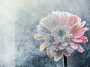 Abstract winter flower digital painting photo