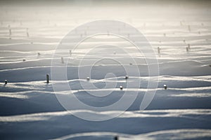 Abstract winter landscape with articles. Garden beds in snow and fog.