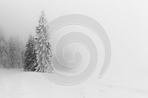 Abstract winter landscapes in the mountains on a very cold winter morning with fog in the sky