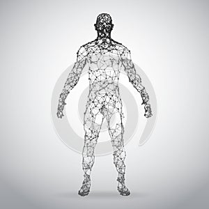 Abstract Wire frame human body. Polygonal 3d model on white background