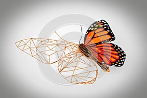 Abstract Wired Low Poly Butterfly. 3d Rendering