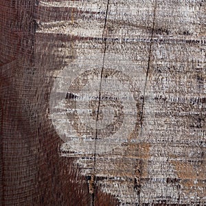 Abstract wood aged weathered rough grain surface texture