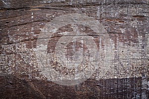 Abstract wood aged weathered rough grain surface texture