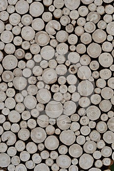 Abstract wood texture