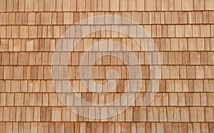 Abstract Wood Texture close up. Cedar Shingles For Background With White Space