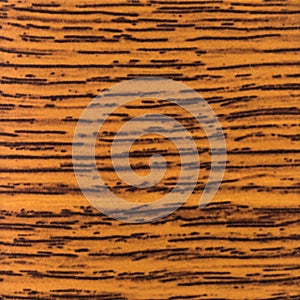 Abstract wood texture with focus on the wood's grain. Mahogany w