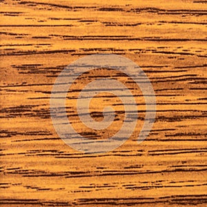 Abstract wood texture with focus on the wood`s grain. Mahogany wood