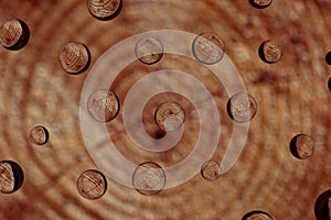 Abstract wooden background with bubbles mirroring sawed wood
