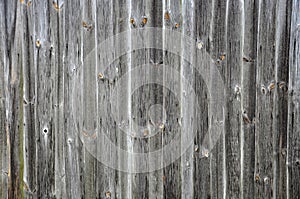 Abstract wooden background. Space for inscription