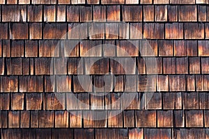 Abstract wooden texture of cedar shingles