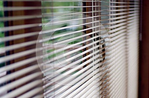 Windows jalousie, sunny blind at house and office