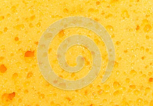 Abstract yellow bath sponge texture