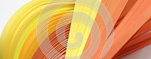 Abstract Yellow color wave curl strip paper.  Background for prints, posters, cards