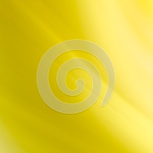 Abstract yellow curves background