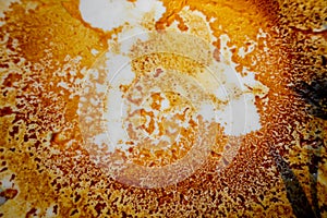 Abstract yellow-orange burning cream texture in white background. Milk burning pots orange-yellow texture. Abstract rustic texture