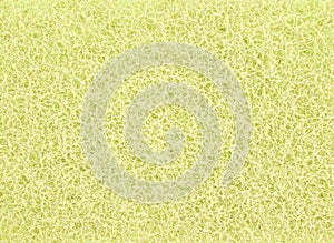 Abstract yellow sponge texture