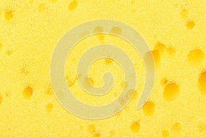 abstract yellow sponge texture background