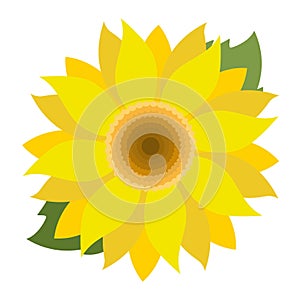 Abstract yellow sunflower vector