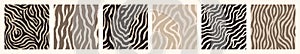 Abstract Zebra Seamless Patterns Set in Trendy Neutral Beige Colors. Vector Minimal Tiger Stripes