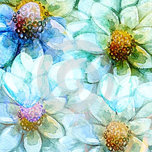 Abstracting Daisy Flowers Backgrounds Watercolors