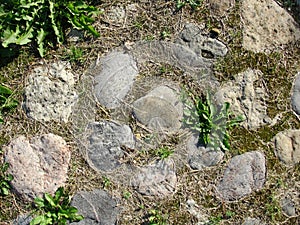 Abstraction background, texture. An old cobblestone pavement with sprouted grass, illuminated by the sun on a hot day. Stone