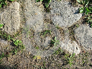 Abstraction background, texture. An old cobblestone pavement with sprouted grass, illuminated by the sun on a hot day. Stone